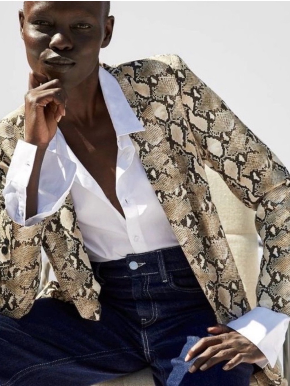 Zara Snake-Print Tailored Blazer - Beige/Black